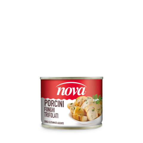 Seasoned Porcini mushrooms - Porcini