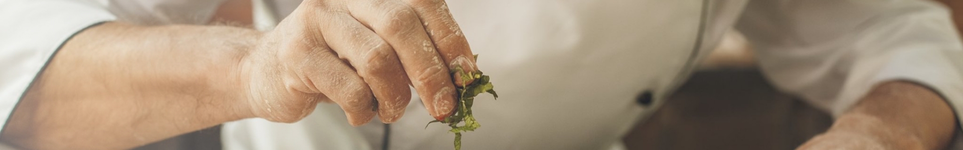 cuoco di nova funghi scopri le nostre ricette